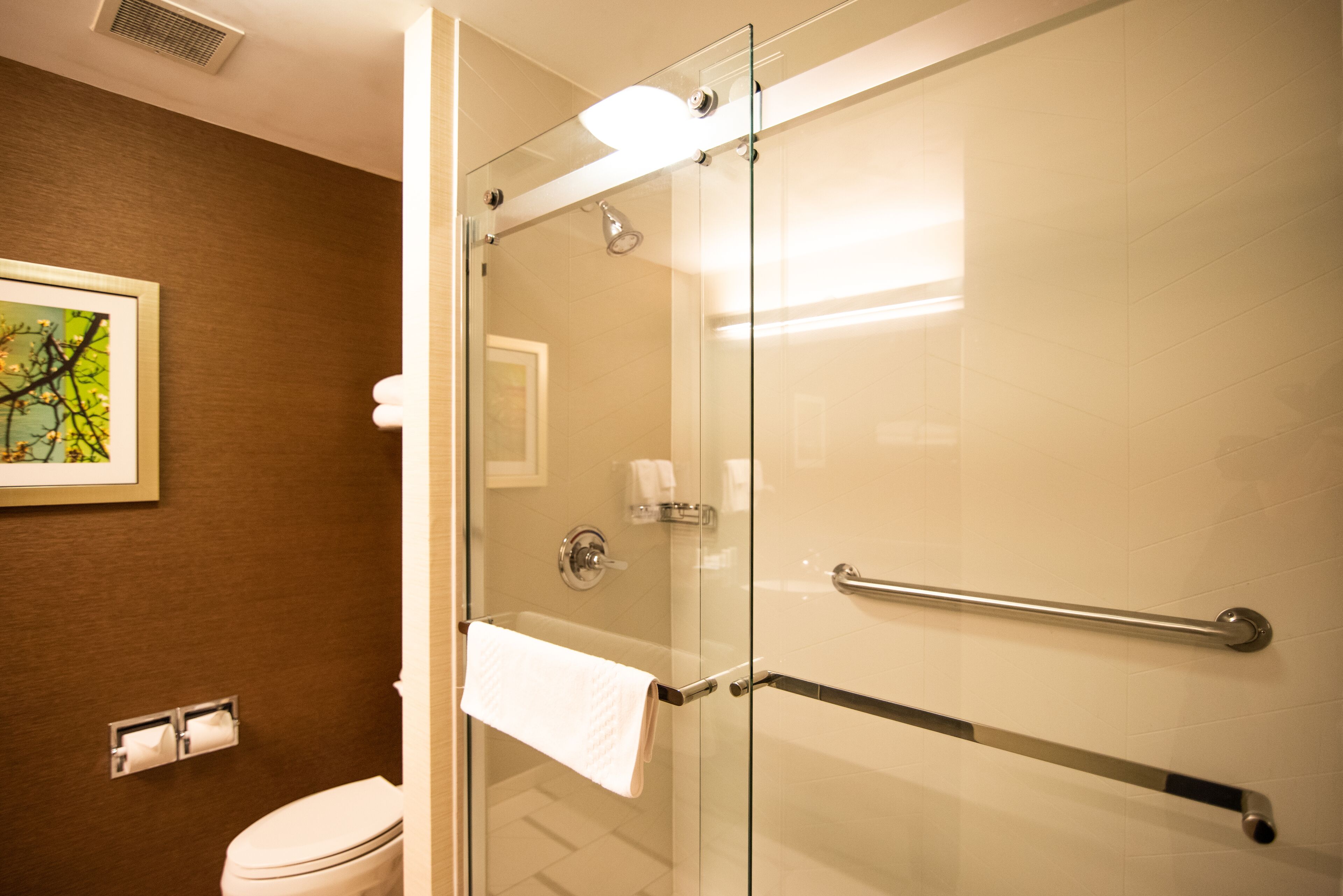 executive suite, 1 king bed with sofa bed | bathroom shower