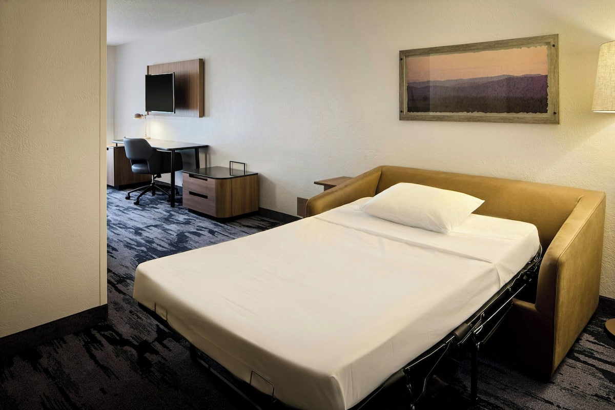 Hypo-allergenic bedding, down duvets, in-room safe, desk