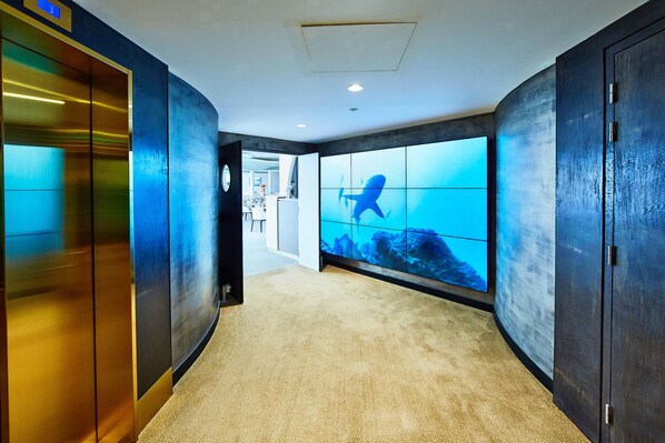 Un couloir avec un grand aquarium, un ascenseur en bois et un sol recouvert de moquette.