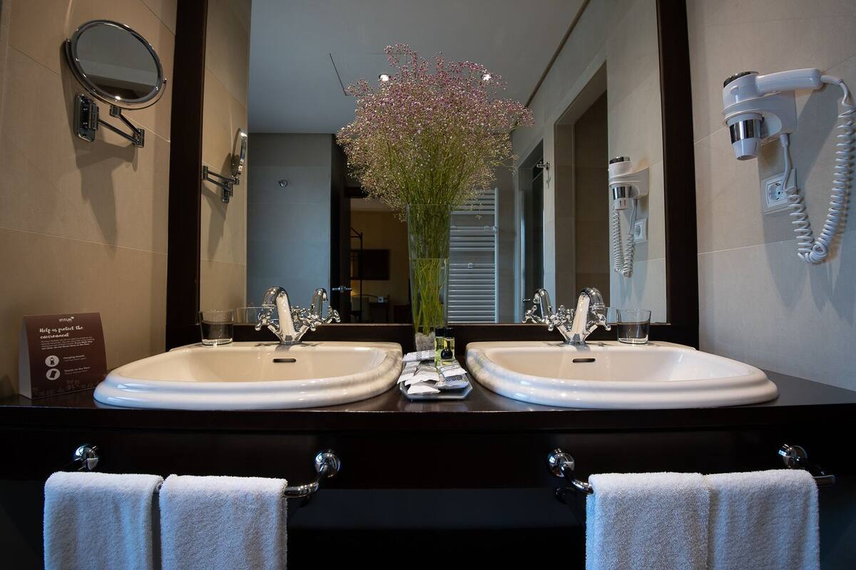 combined shower/bathtub, free toiletries, hair dryer, towels