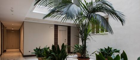 Un interior moderno con un pasillo, plantas en macetas y un ventanal grande.