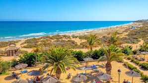 Un resort en la playa con palmeras, tumbonas y sombrillas.