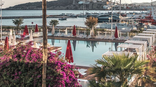 Marina con barcos, zona de piscina con tumbonas y sombrillas, y una palmera.