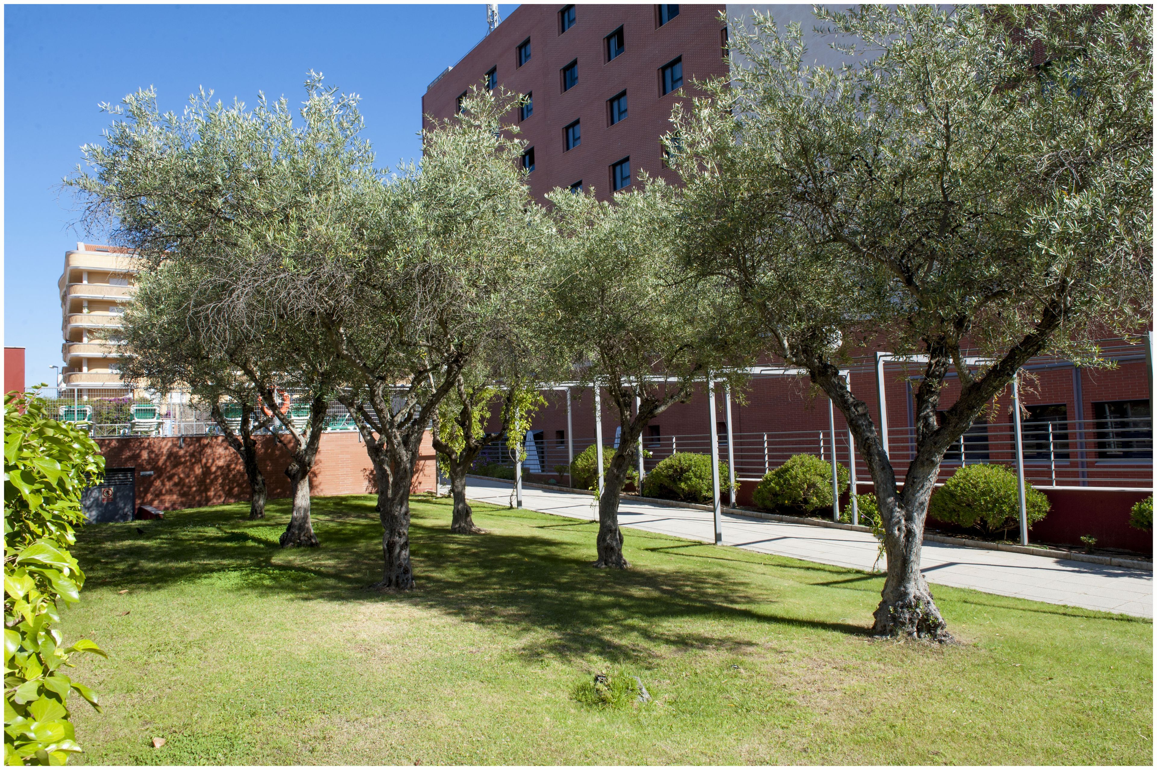 seasonal outdoor pool, open 11 am to 8:30 pm, pool umbrellas