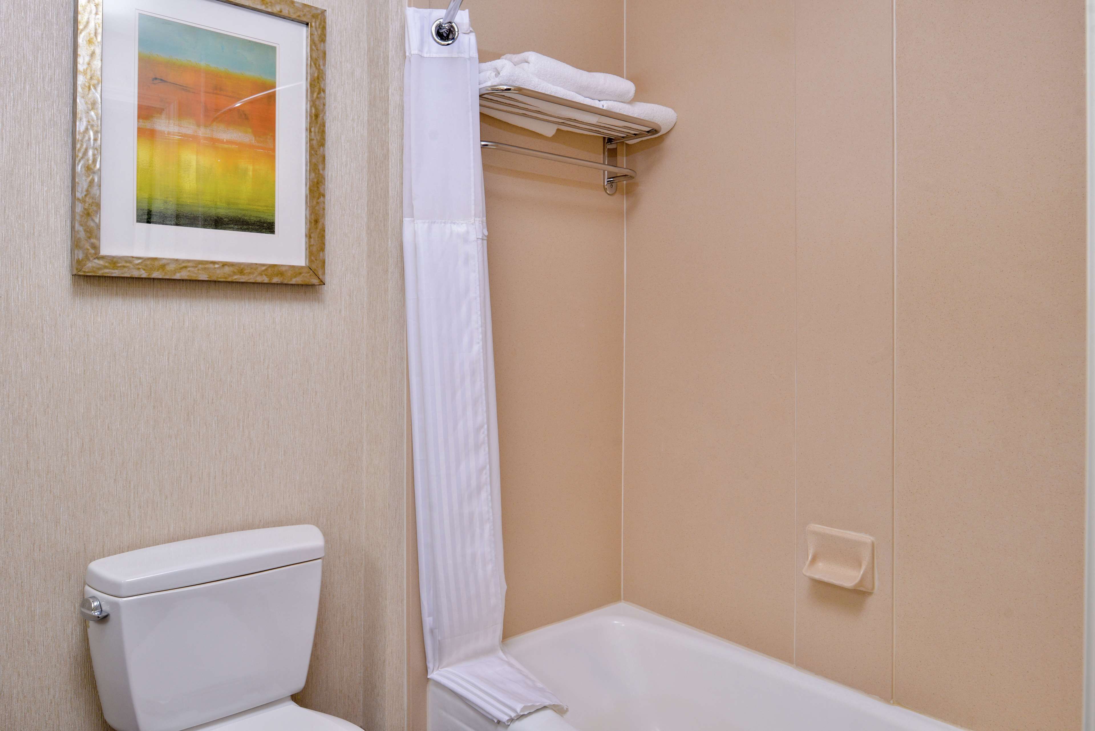 A bathroom with a toilet, a shower curtain, and a framed picture on the wall.