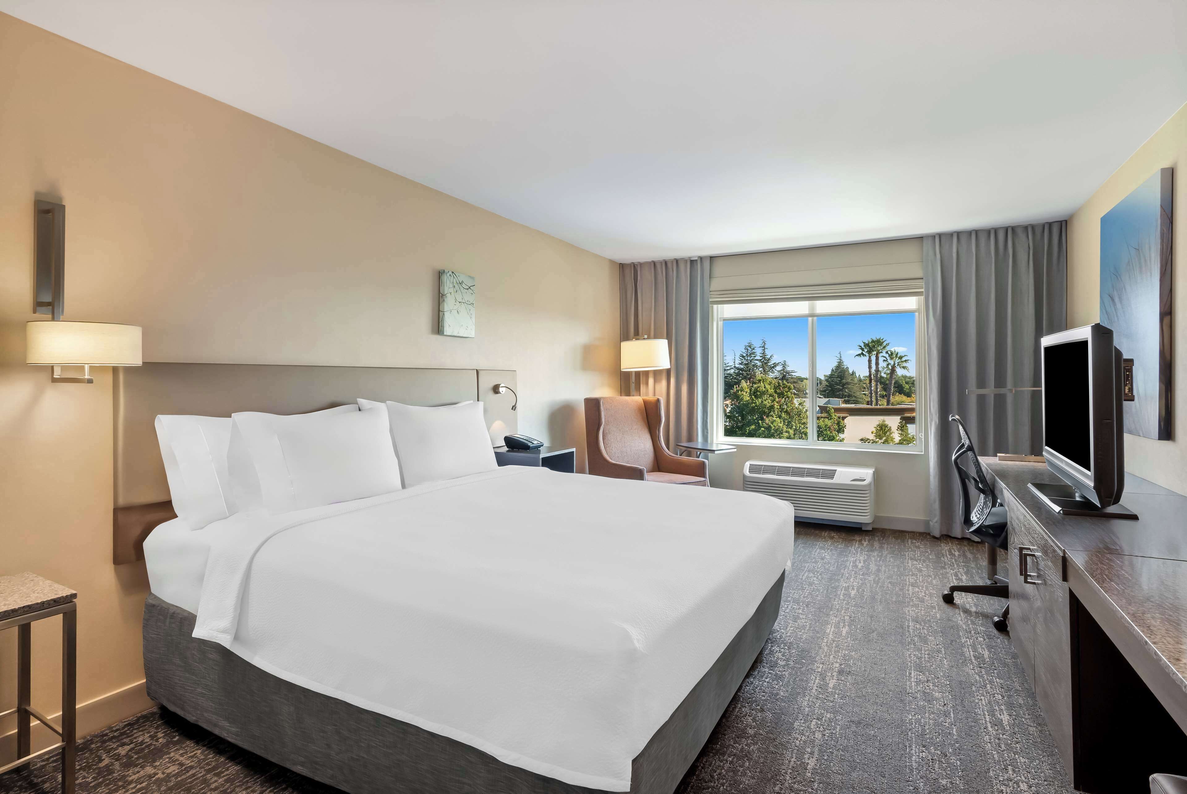 junior room, 1 king bed | 1 bedroom, hypo-allergenic bedding, down duvets, in-room safe