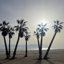 On the beach, white sand