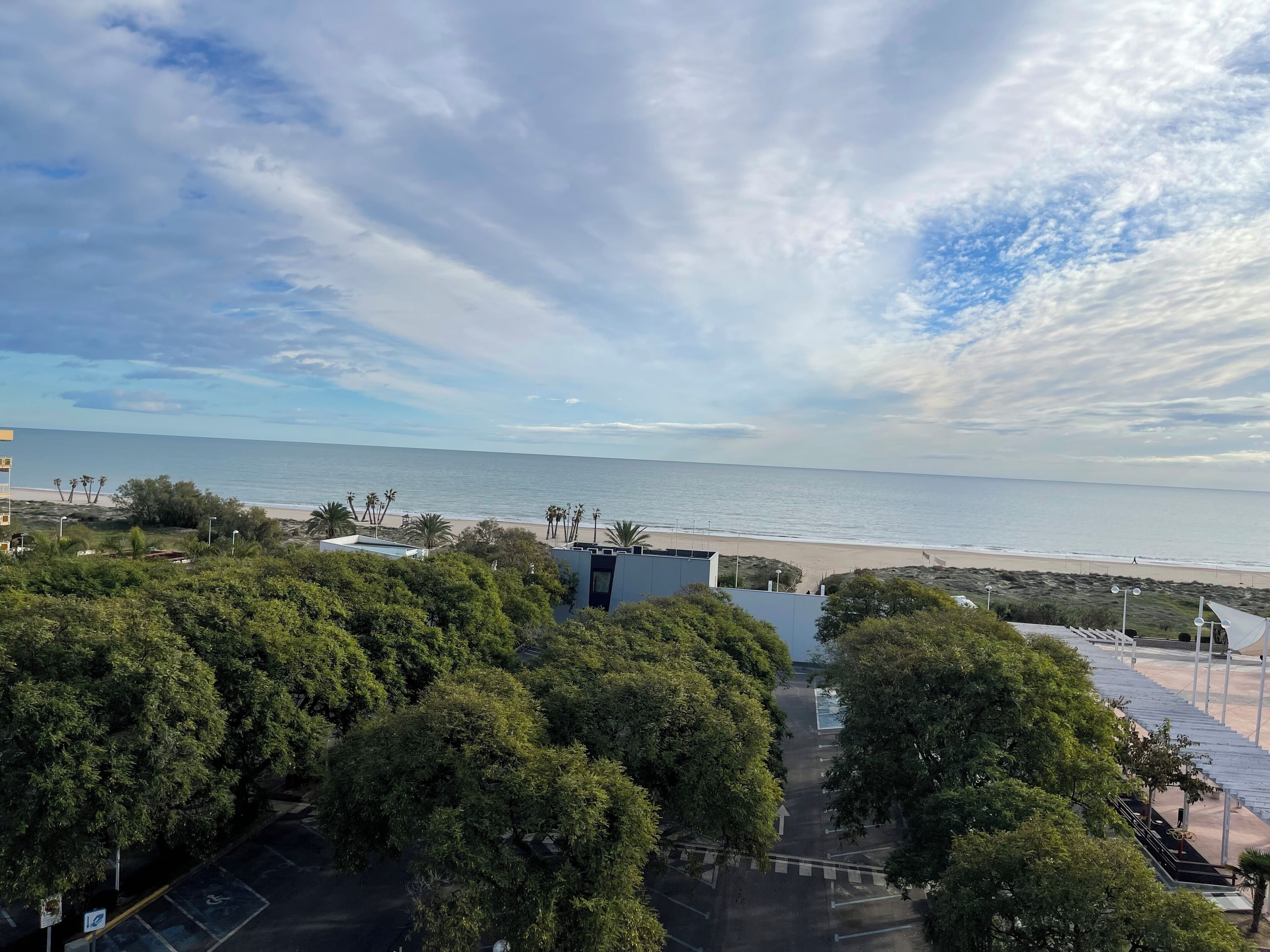 Une vue sur la côte, avec une plage, des palmiers et un espace de stationnement.