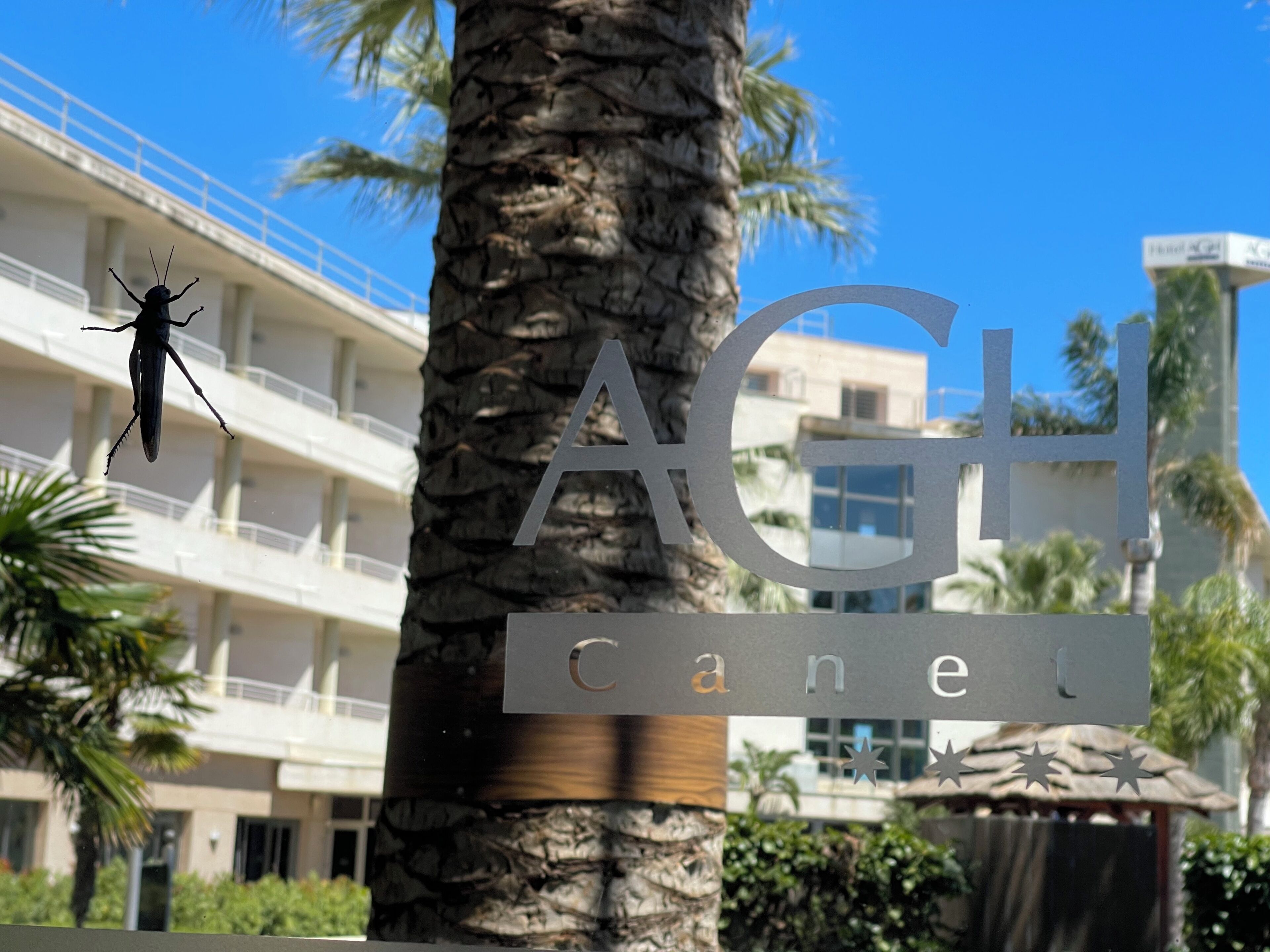 Une enseigne d’hôtel indiquant « AGH Canal », avec en arrière-plan un bâtiment doté de balcons et de palmiers.