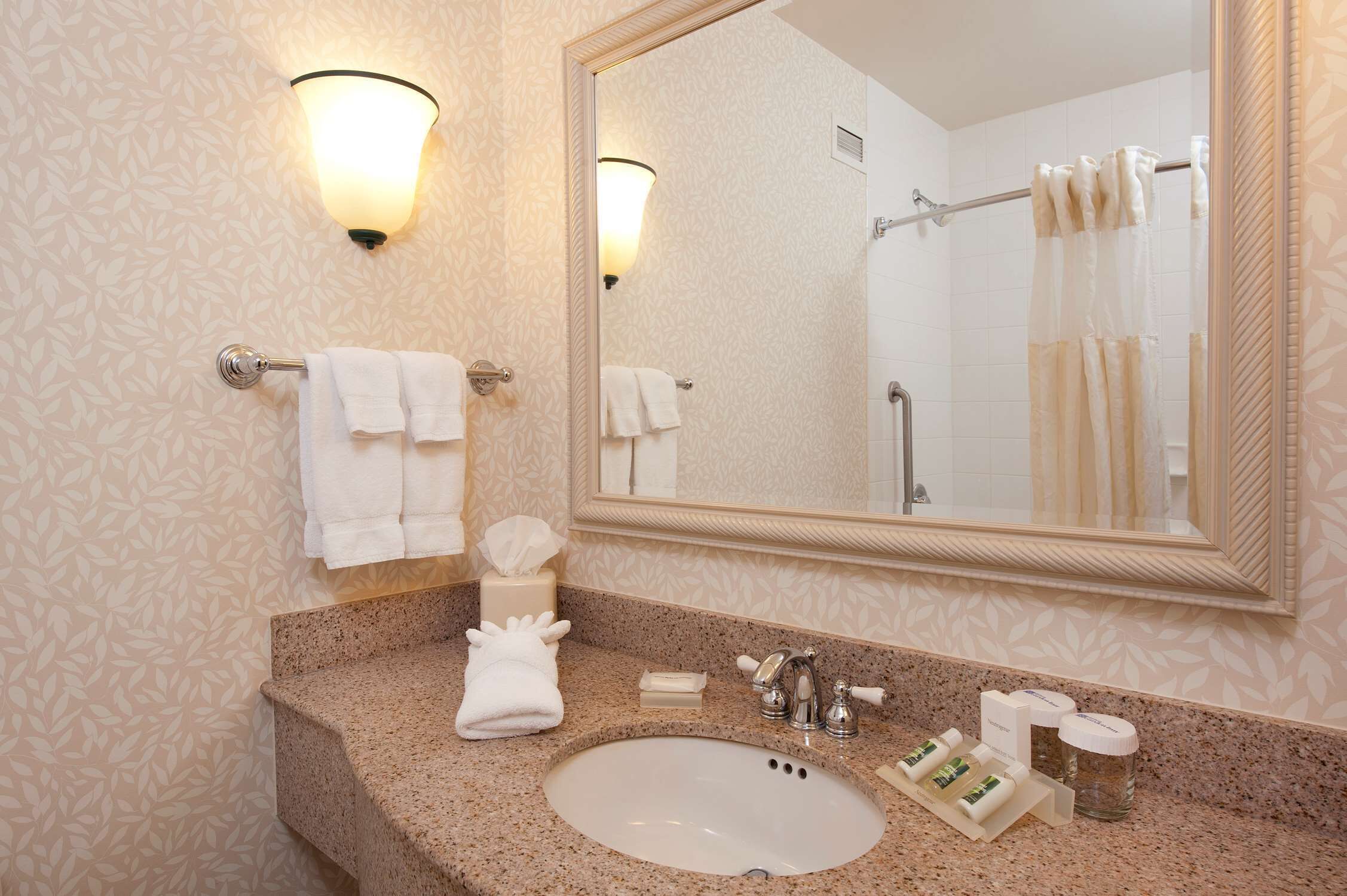 combined shower/bathtub, free toiletries, hair dryer