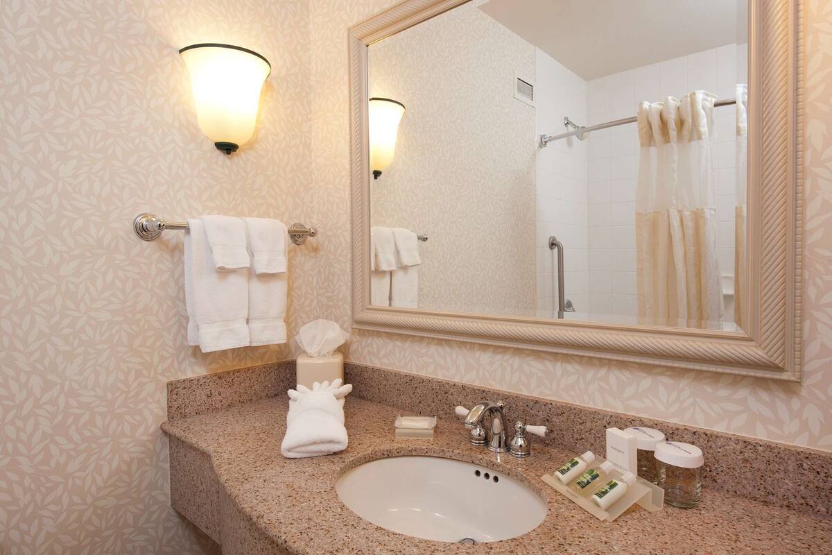 combined shower/bathtub, free toiletries, hair dryer