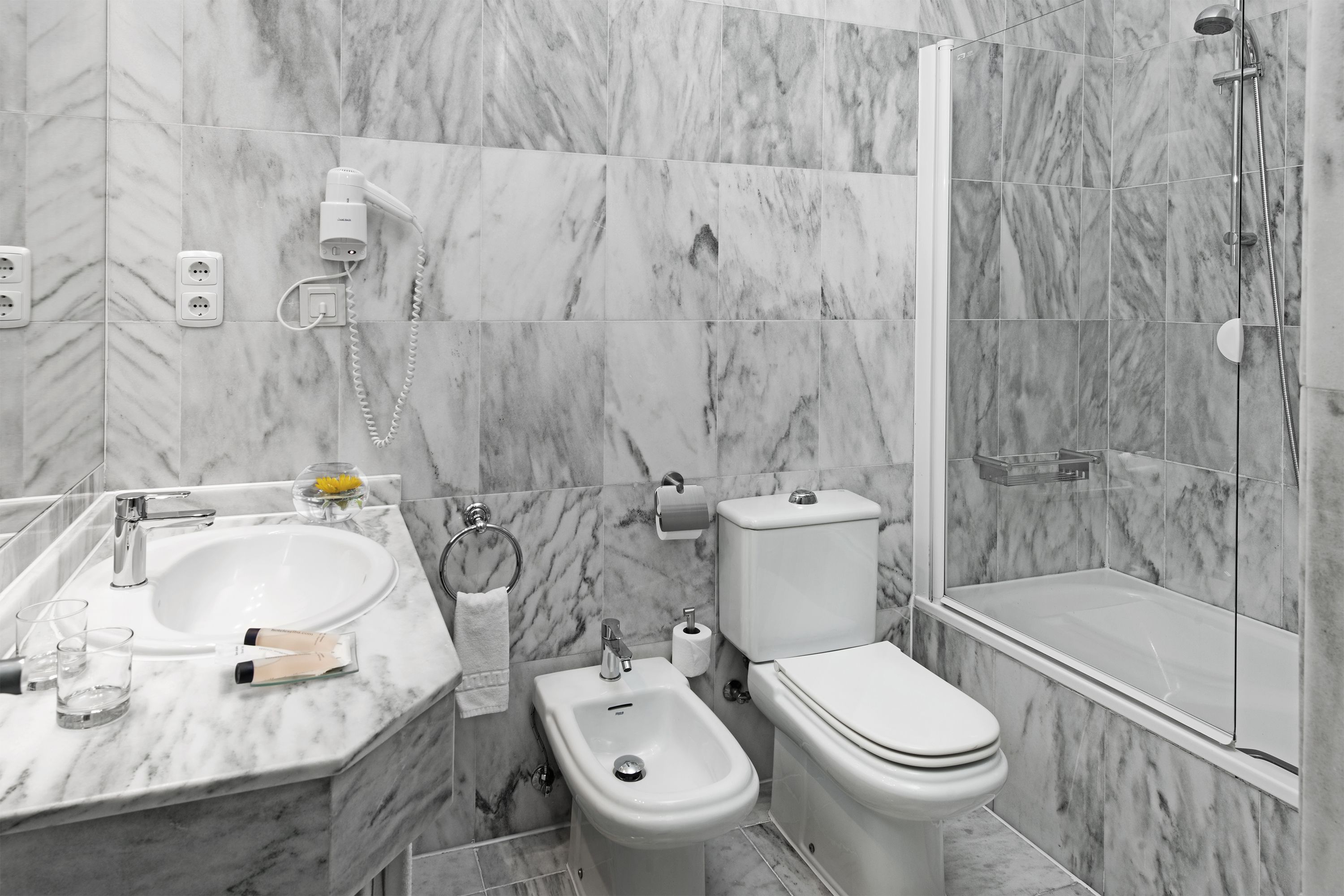 combined shower/bathtub, free toiletries, hair dryer, bidet
