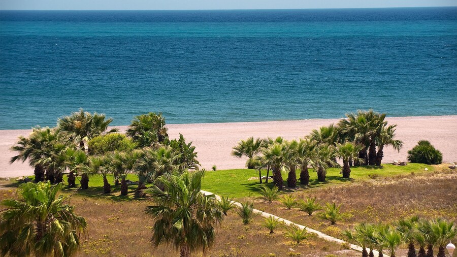 Elba Motril Beach & Business Resort