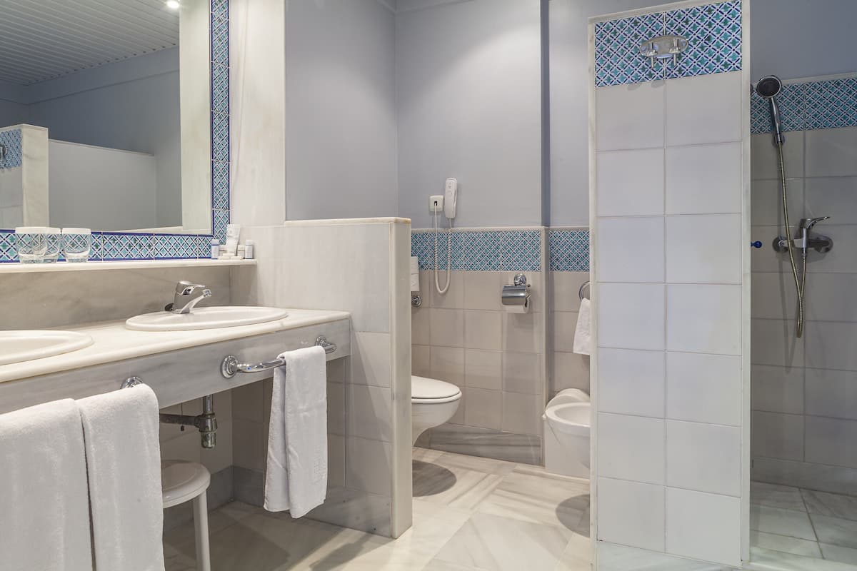 shower, free toiletries, hair dryer, bidet