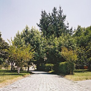Property grounds