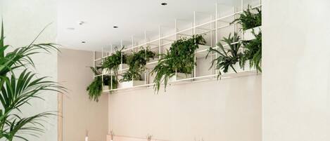 Un interior moderno con una fila de mesas redondas y bancos, una pared blanca con plantas verdes y una planta grande en maceta al frente.