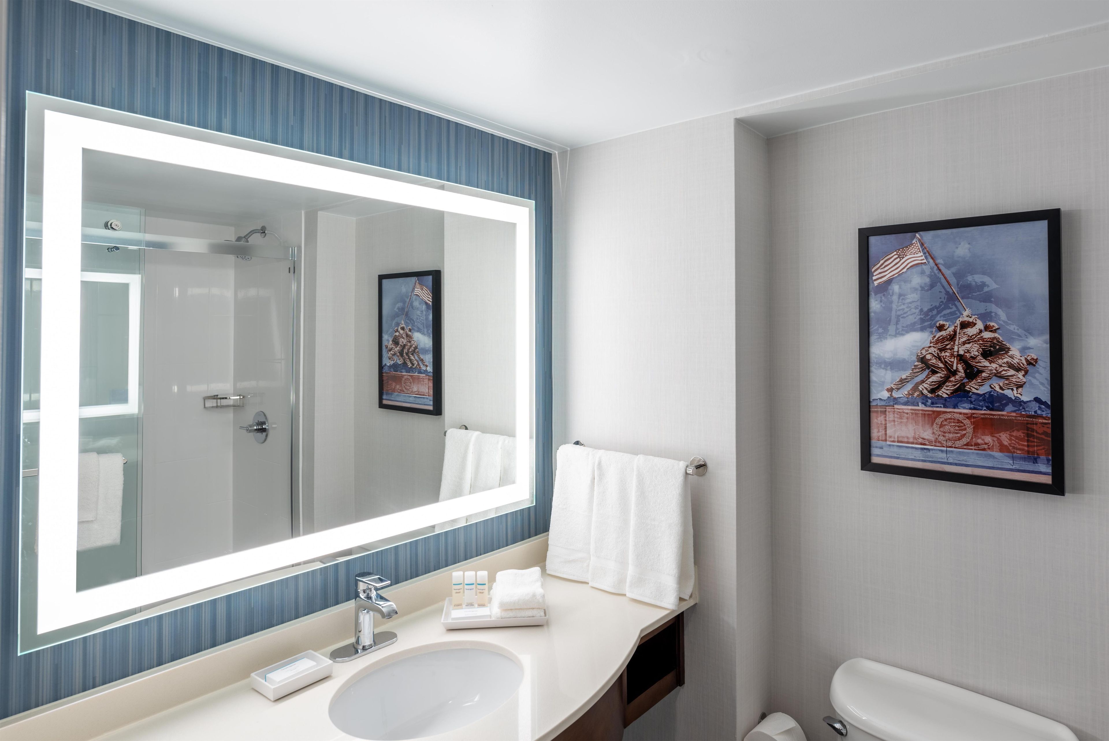 A bathroom with a large mirror, a sink, a toilet, and a framed picture on the wall.