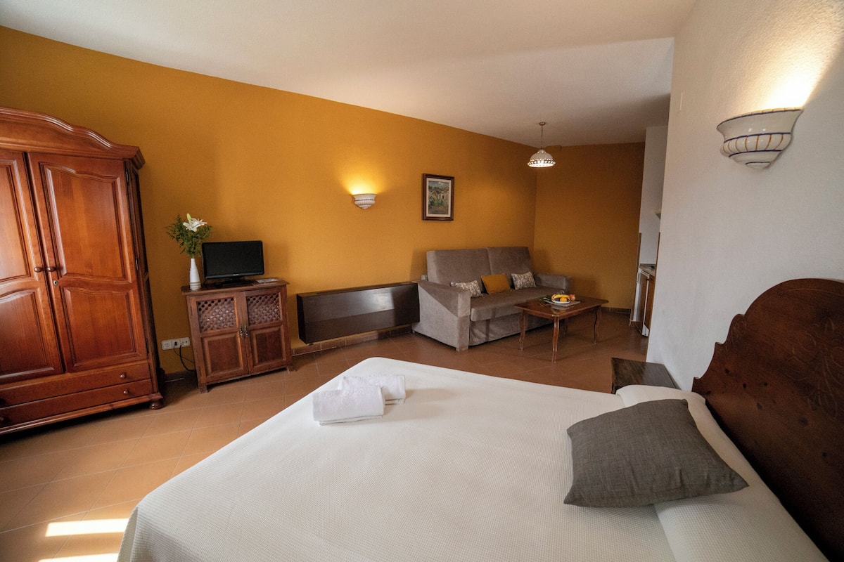 A hotel room with a bed, a sofa, a TV, and a wooden wardrobe.
