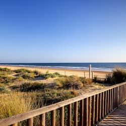 Plage, sable blanc, chaises longues, parasols