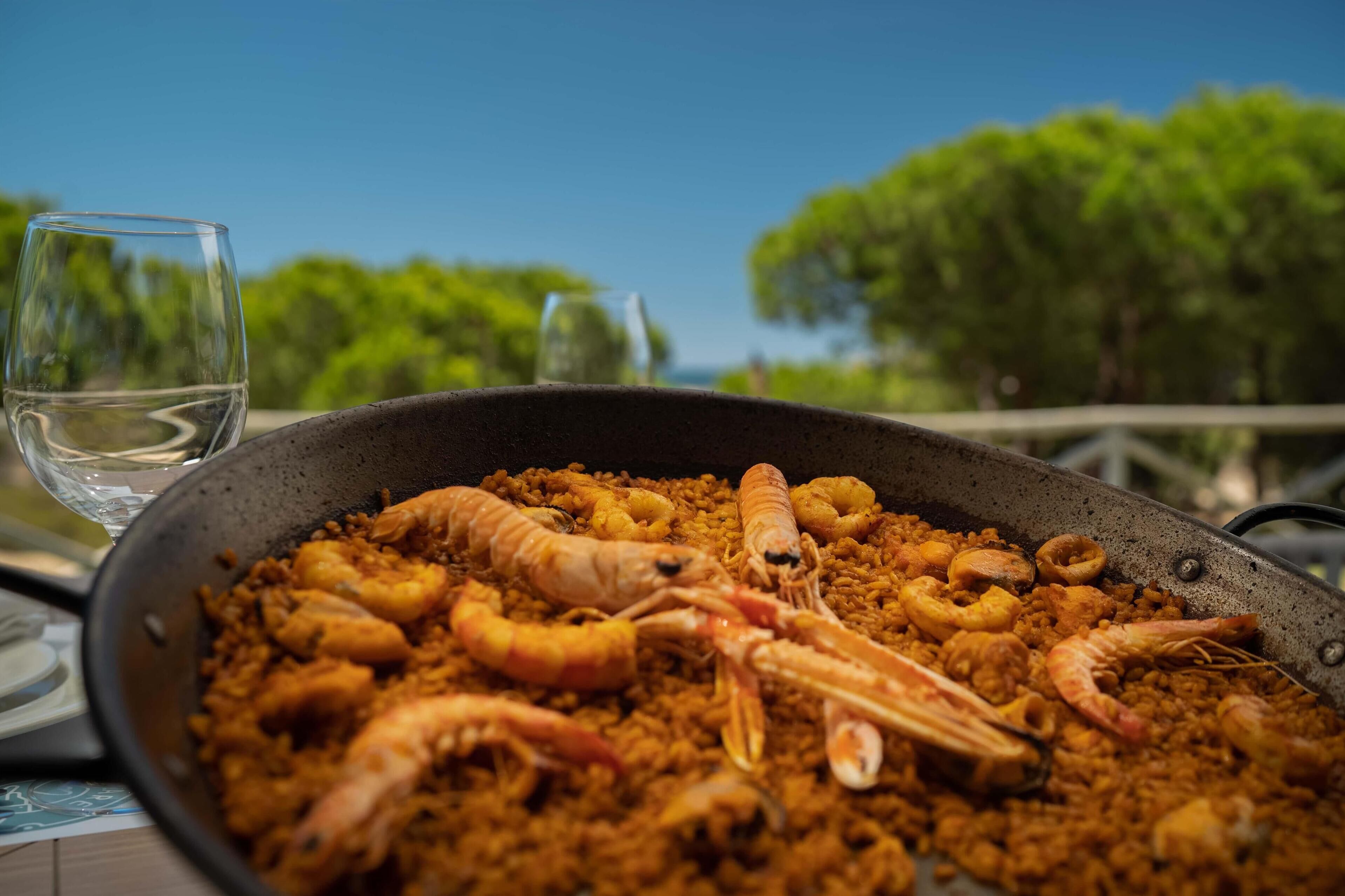 Comida y bebida