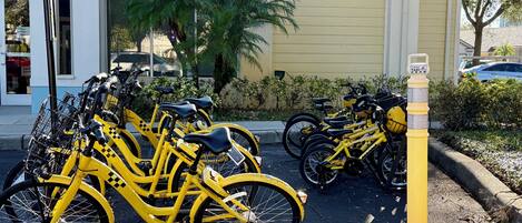 Diverses bicicletes grogues aparcades davant d'un edifici on hi ha un senyal que indica una parada de taxis.