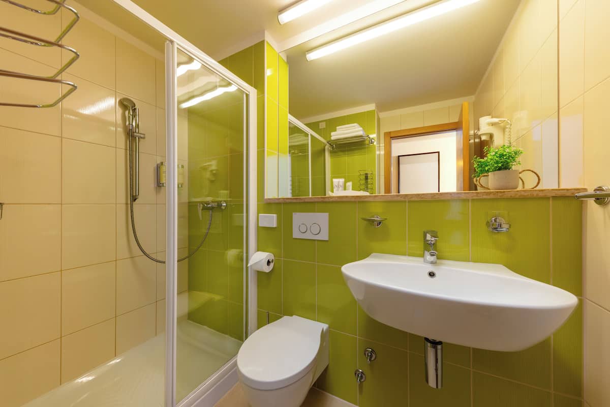 free toiletries, hair dryer, towels