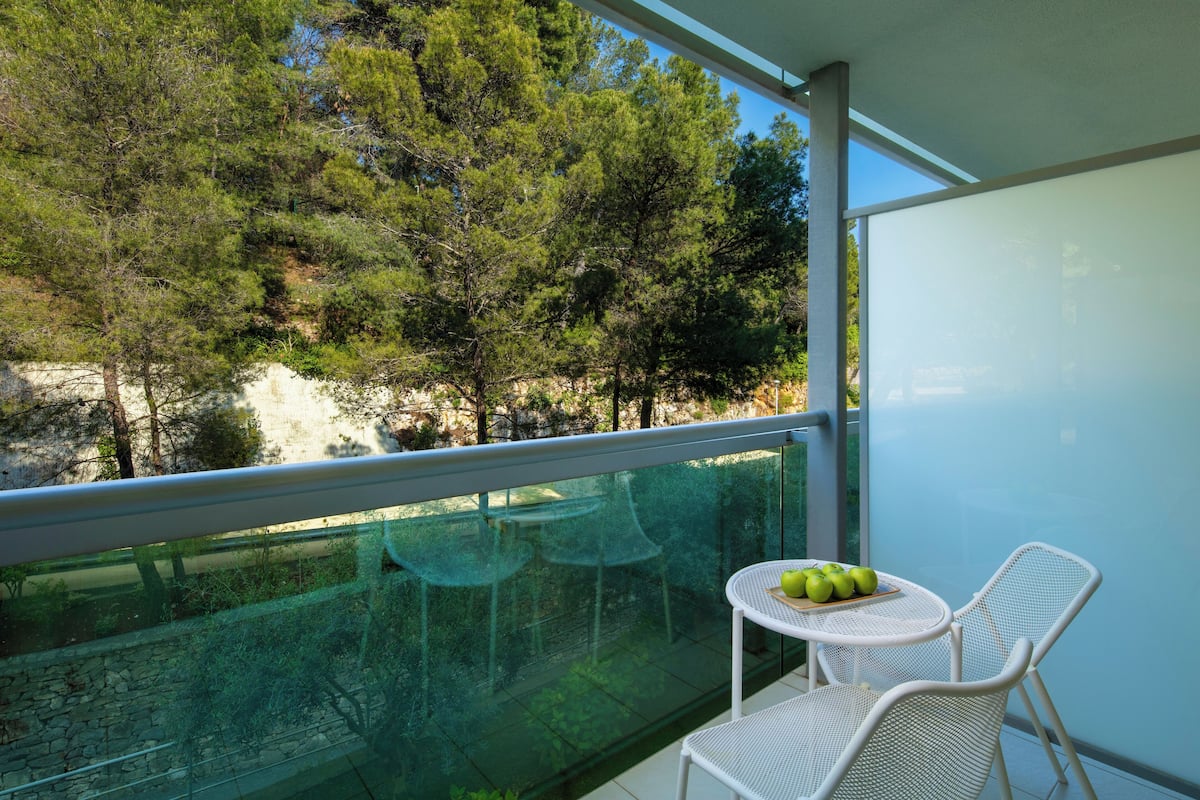 double room, accessible, balcony | terrace/patio