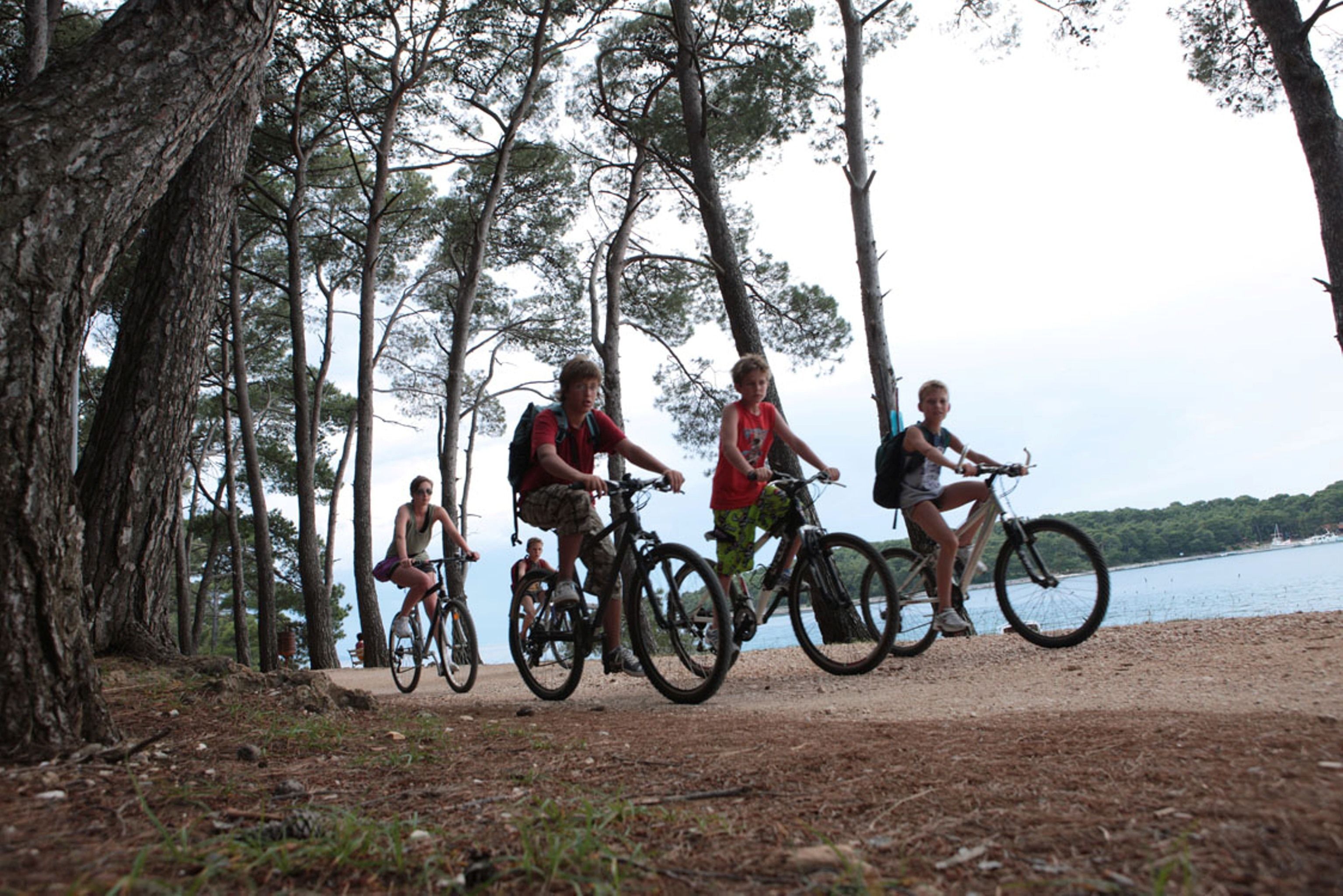 Um grupo de pessoas andando de bicicleta por uma trilha de terra cercada por árvores.