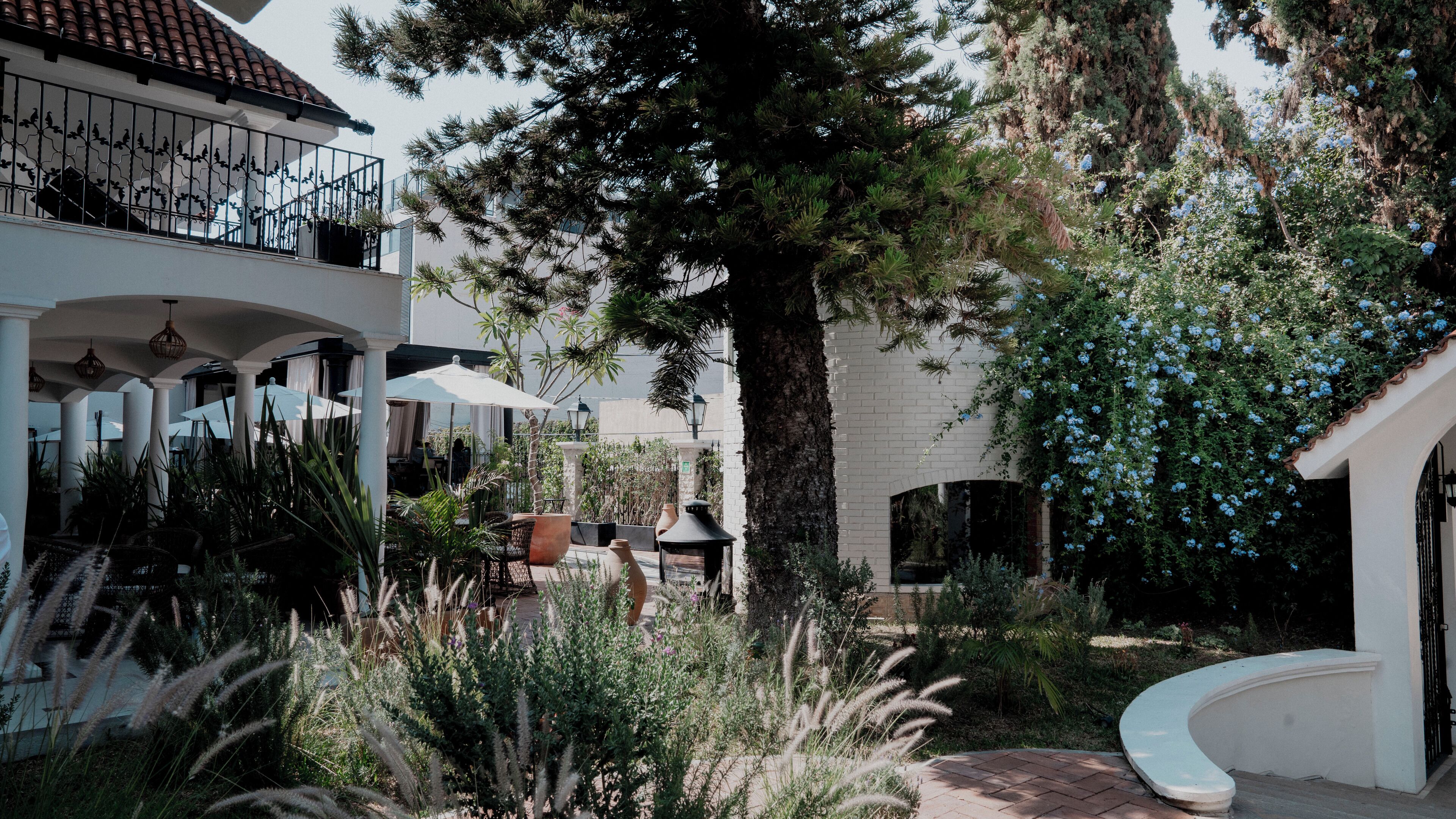 Foto - Casa Bonita Hotel & Luxury Residence