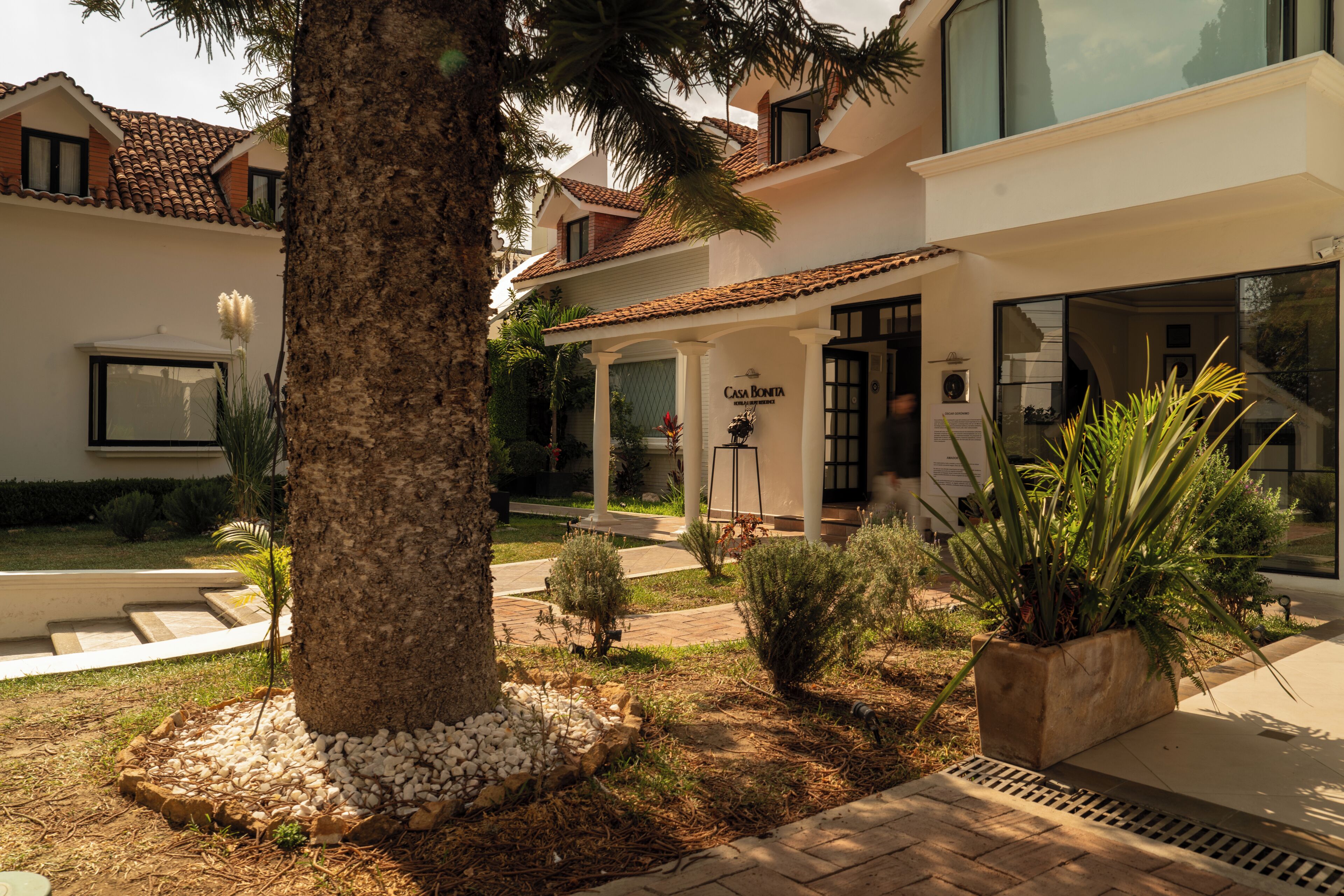 A modern house with a patio, a large tree, and a well-maintained garden.