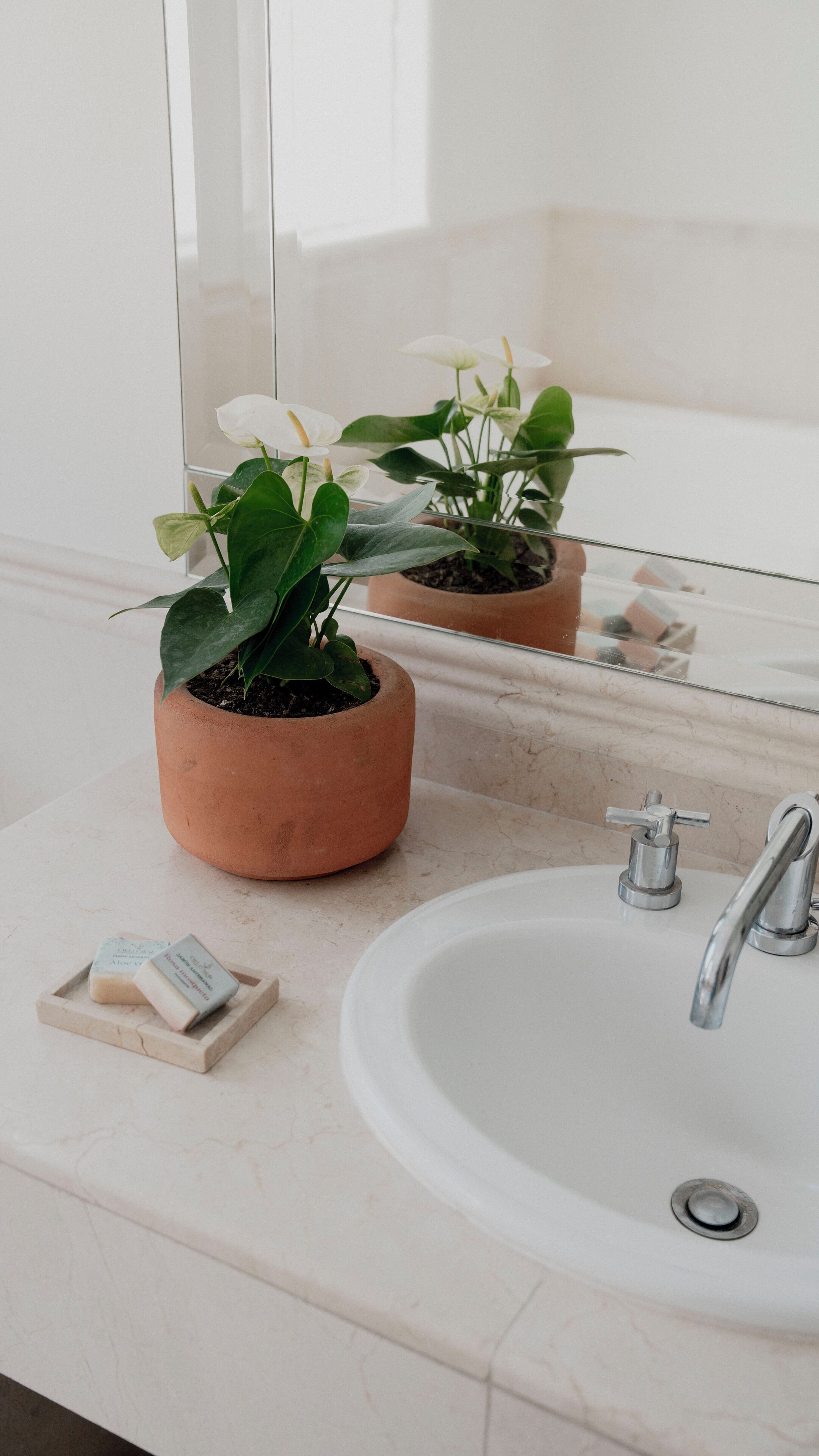 Foto - Casa Bonita Hotel & Luxury Residence