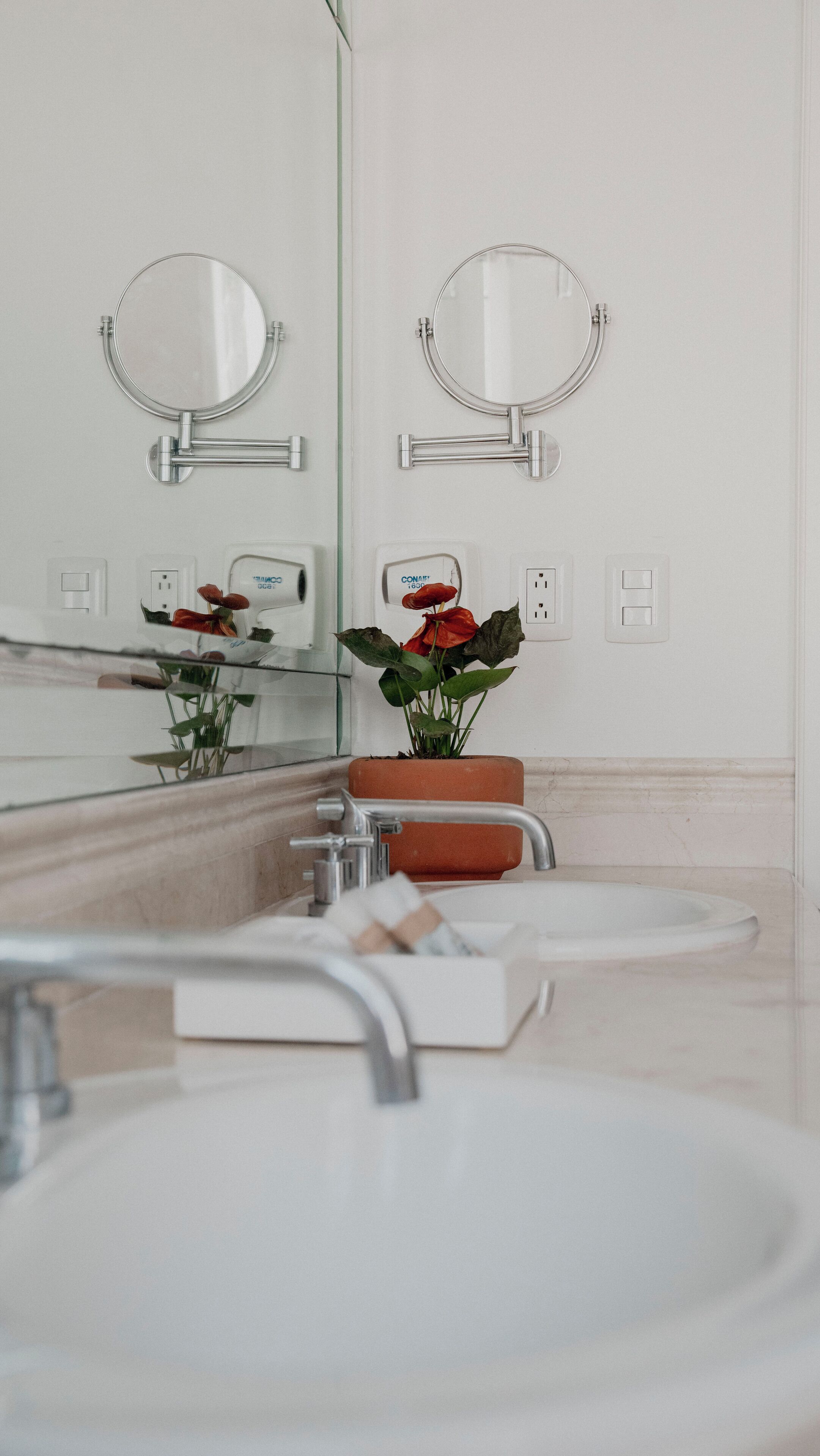 A bathroom with two sinks, a mirror, and a potted plant.