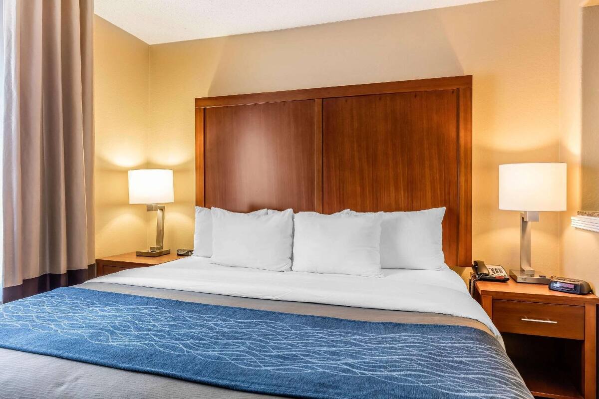 Habitación de hotel con una cama grande, dos lámparas de noche, un cabecero de madera y un tapete azul con estampado.