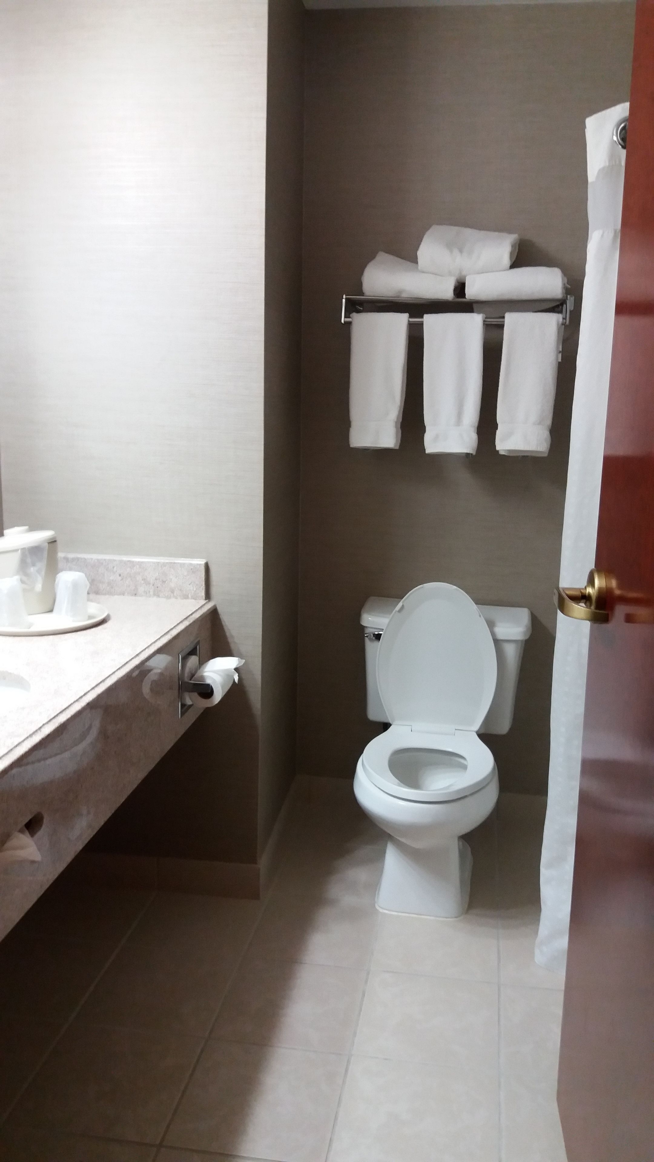 Une salle de bain comprenant des toilettes, un lavabo avec un porte-serviettes et un rideau de douche.