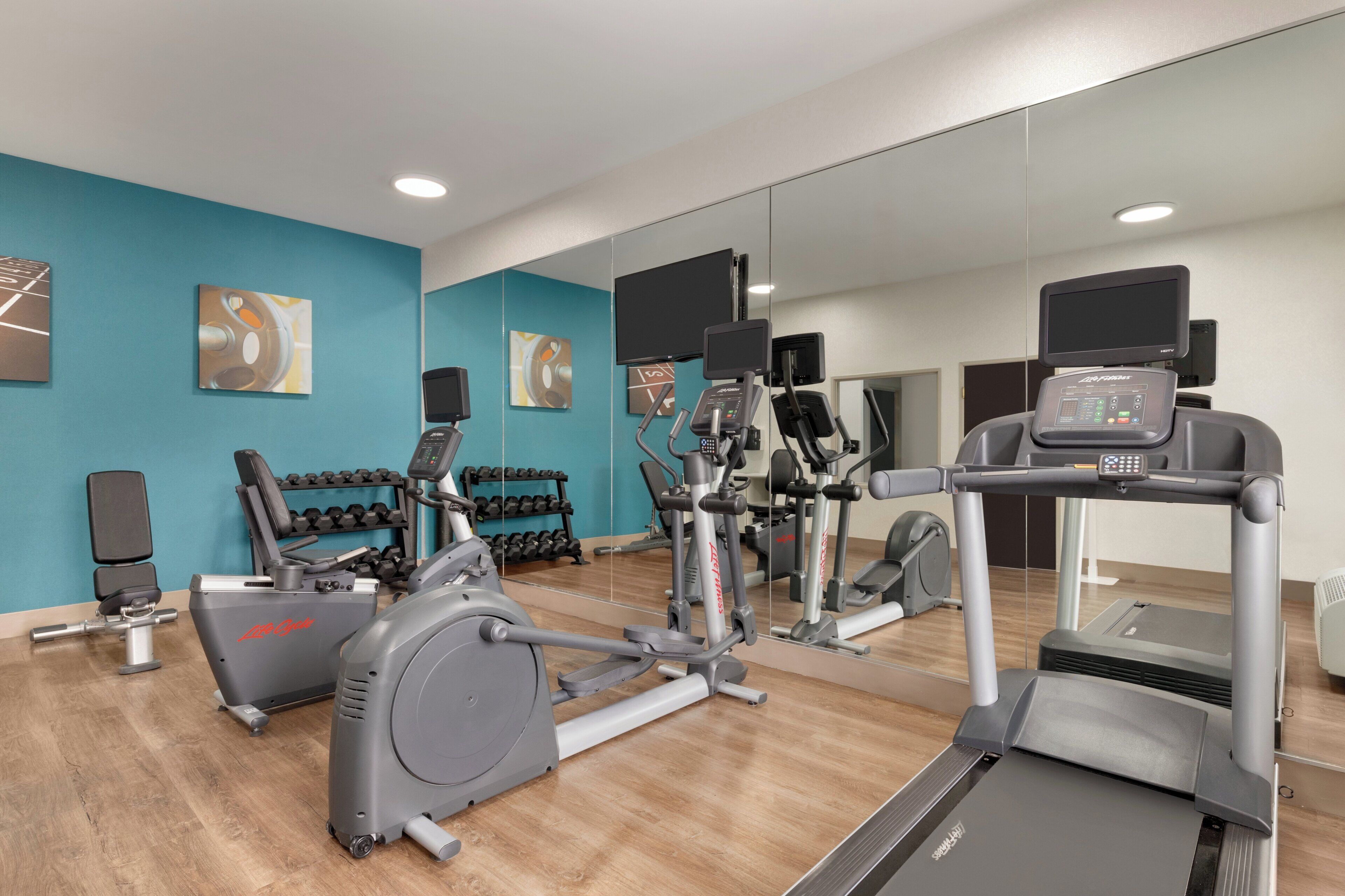 Un gimnasio con máquinas de cardio, mancuernas y un espejo.