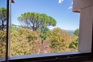 Ausblick vom Zimmer