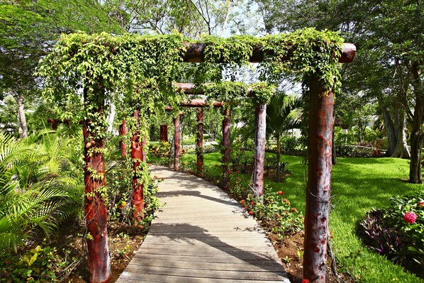 Un sendero de madera con un arco de metal rústico cubierto de follaje, rodeado de vegetación exuberante y flores.