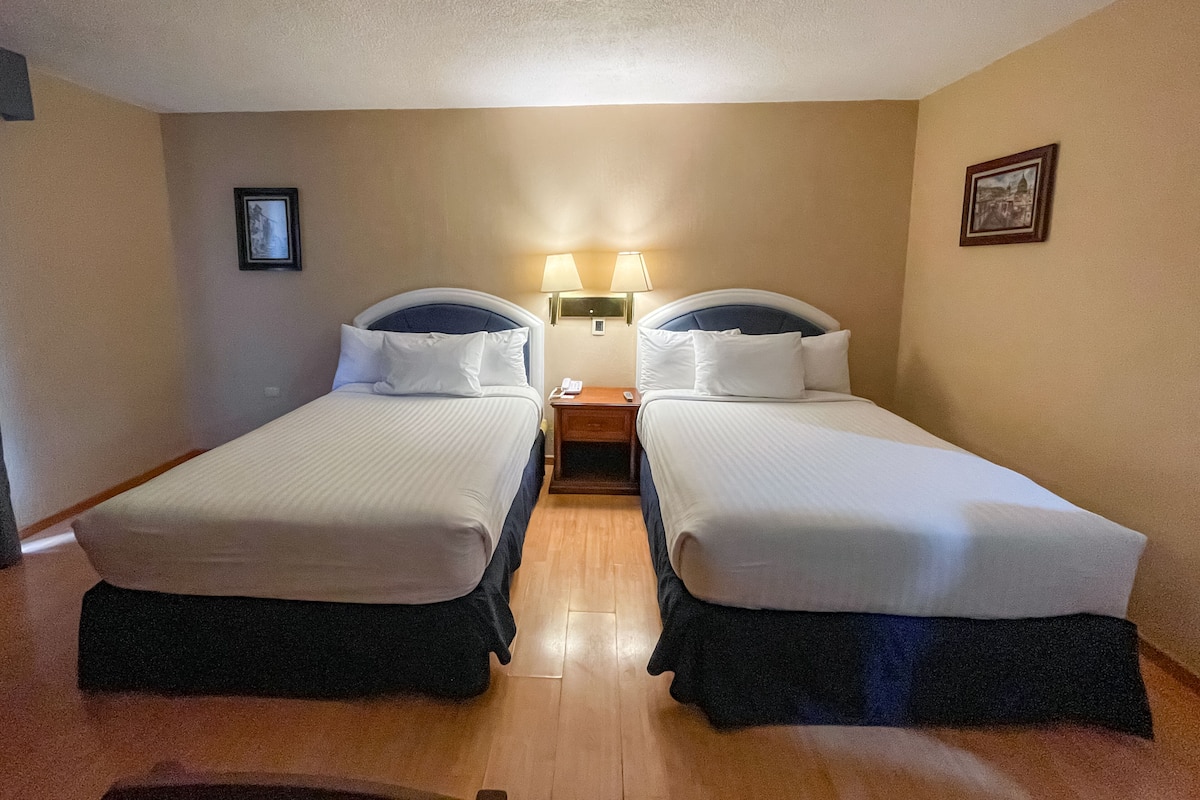 Une chambre d’hôtel avec deux lits simples, une table de chevet avec une lampe et un tableau encadré au mur.