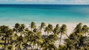 A beach with palm trees and a clear view of the ocean. - Catalonia Royal Tulum  Adults Only - All Inclusive (Xpu-Ha)