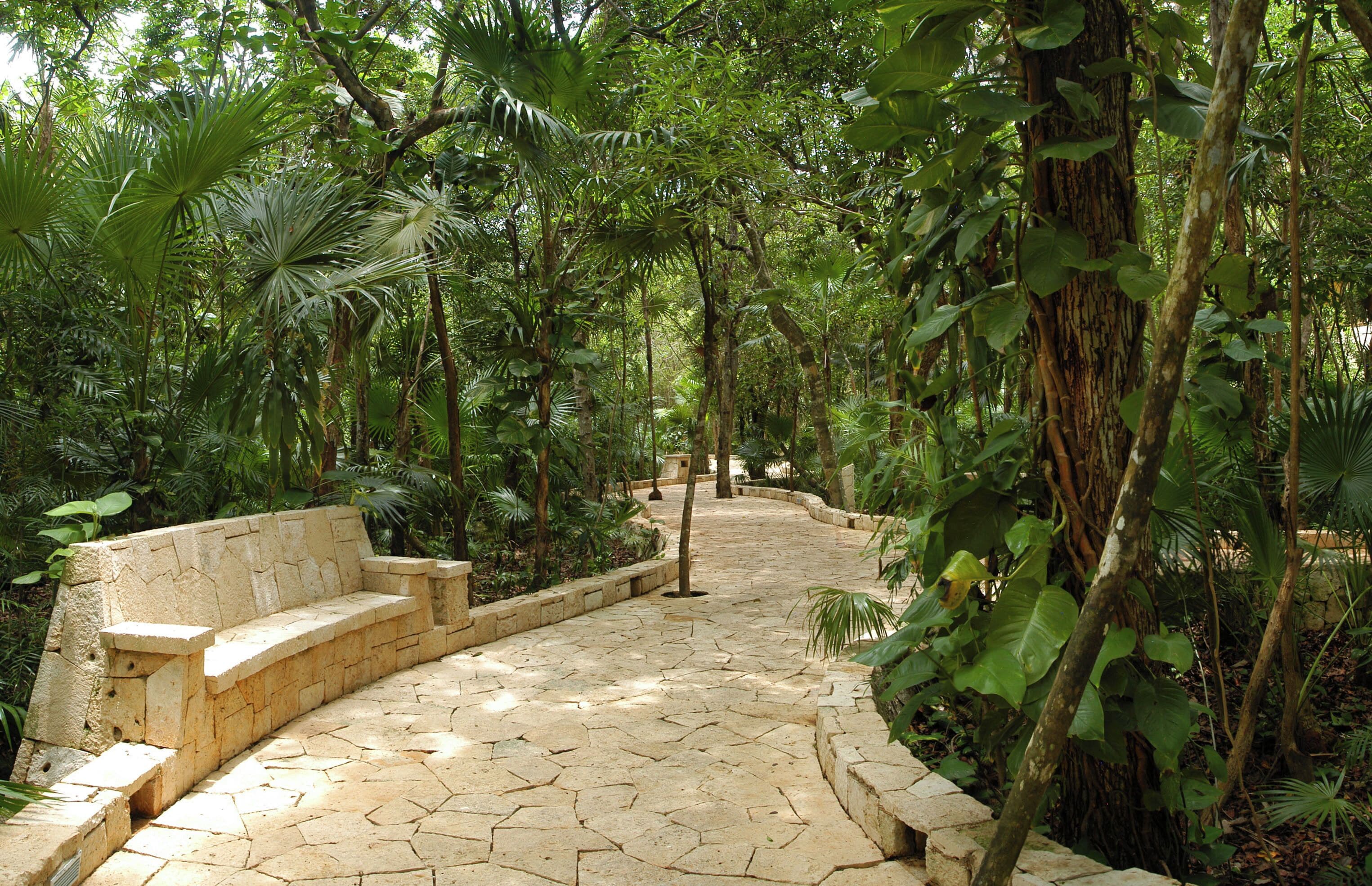 A stone pathway leading through a lush garden with a stone bench and a tree-lined path.