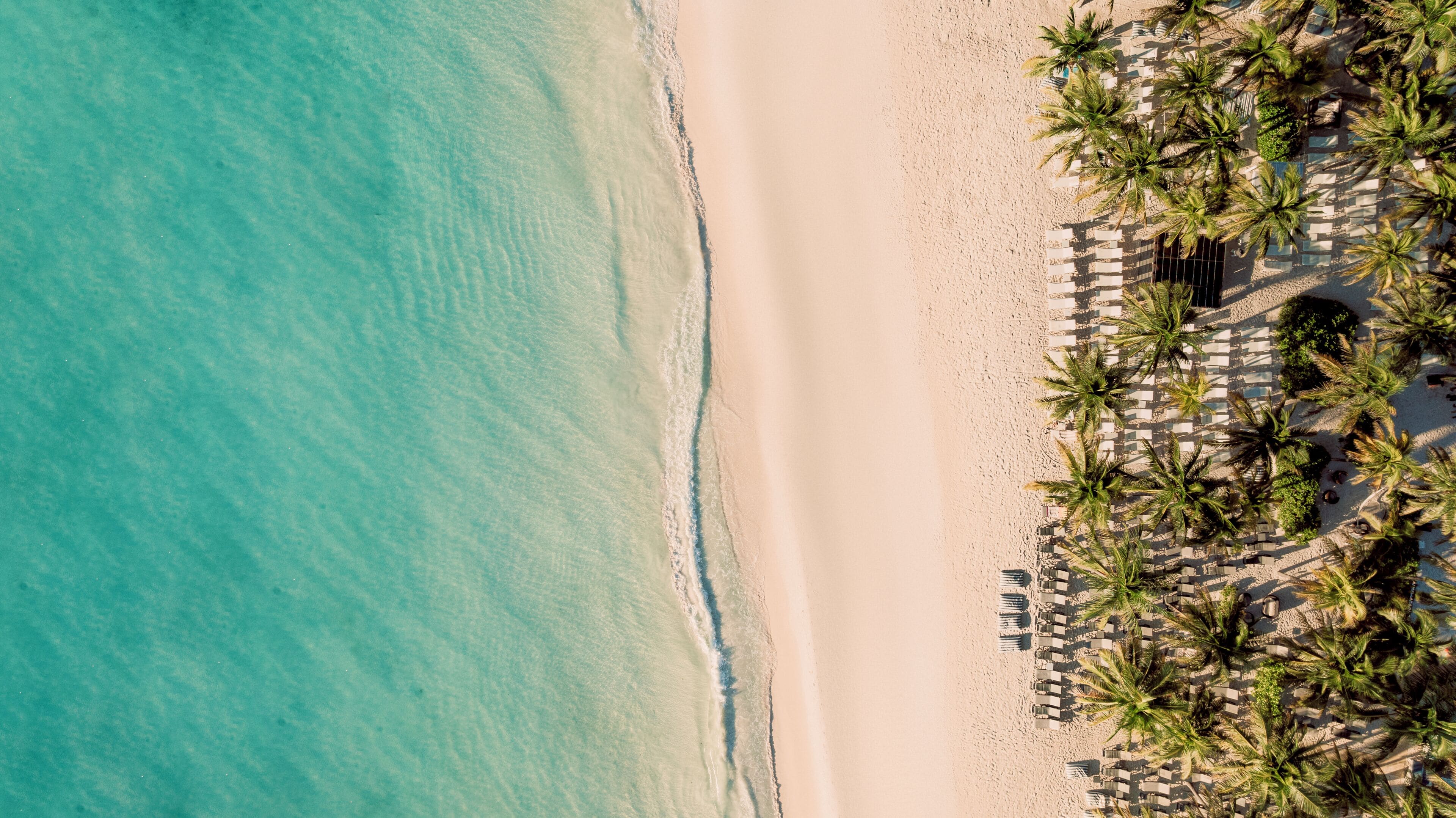 Een overzicht vanuit de lucht van een strand met helder turquoise water, een zandstrand en rijen palmbomen met ligbedden.