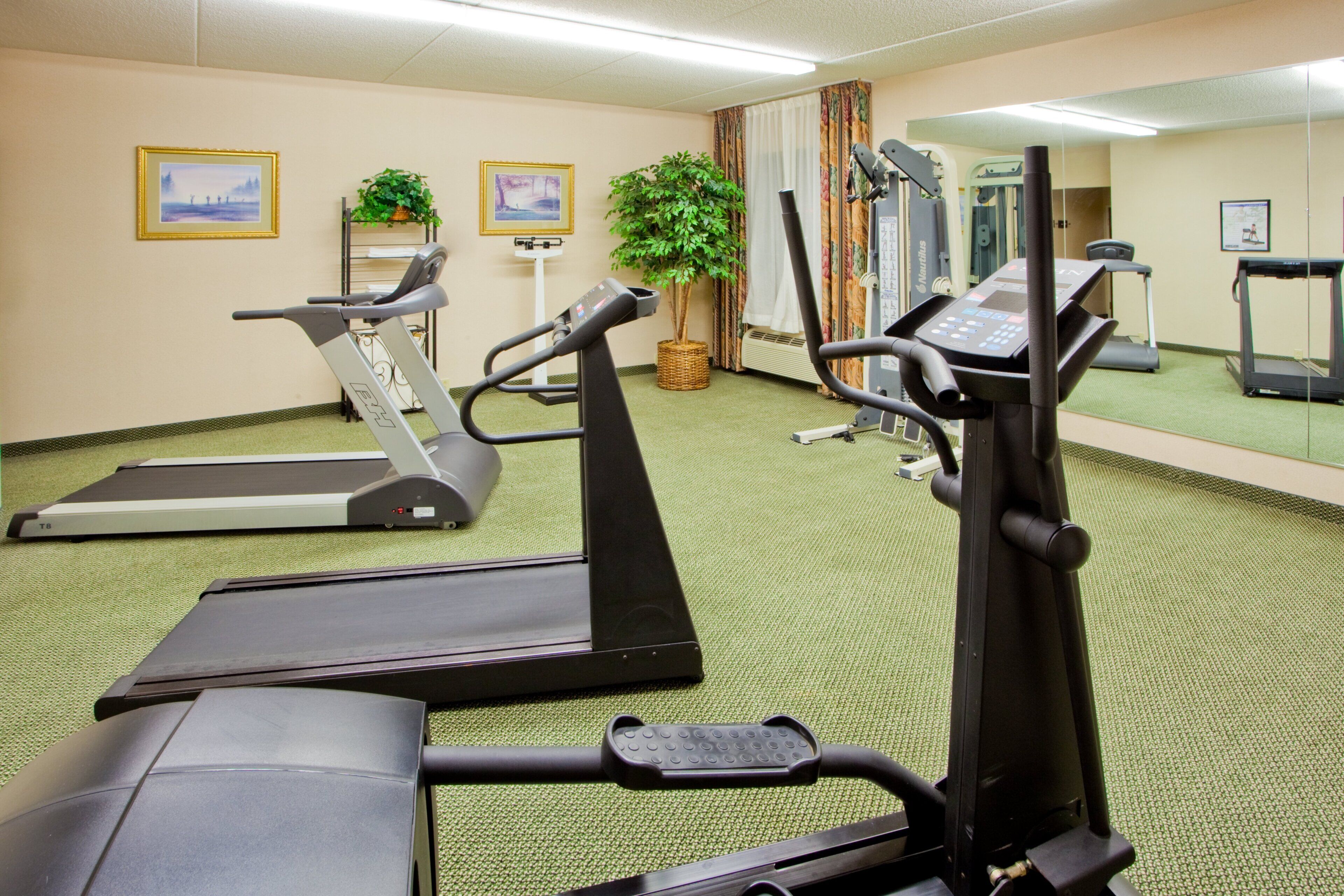 Un gimnasio con cintas de correr, elípticas y una bicicleta estática.