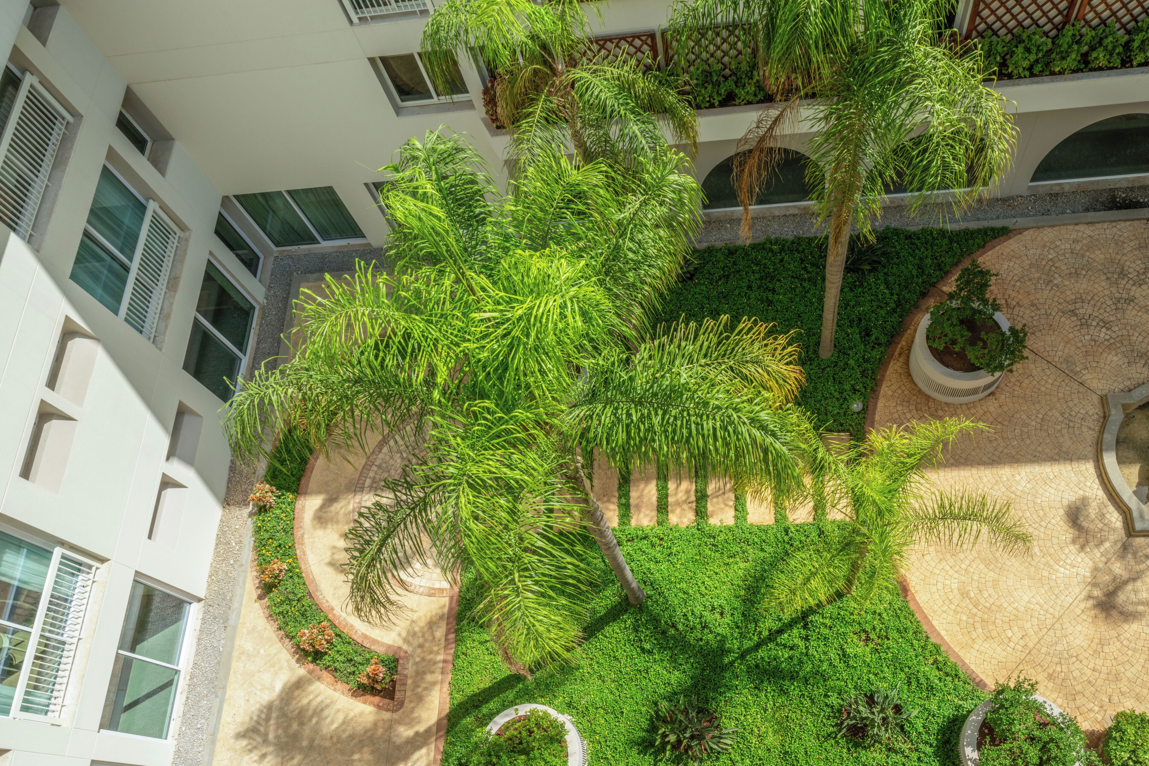 A multi-level building with a rooftop garden featuring palm trees and various shrubs.