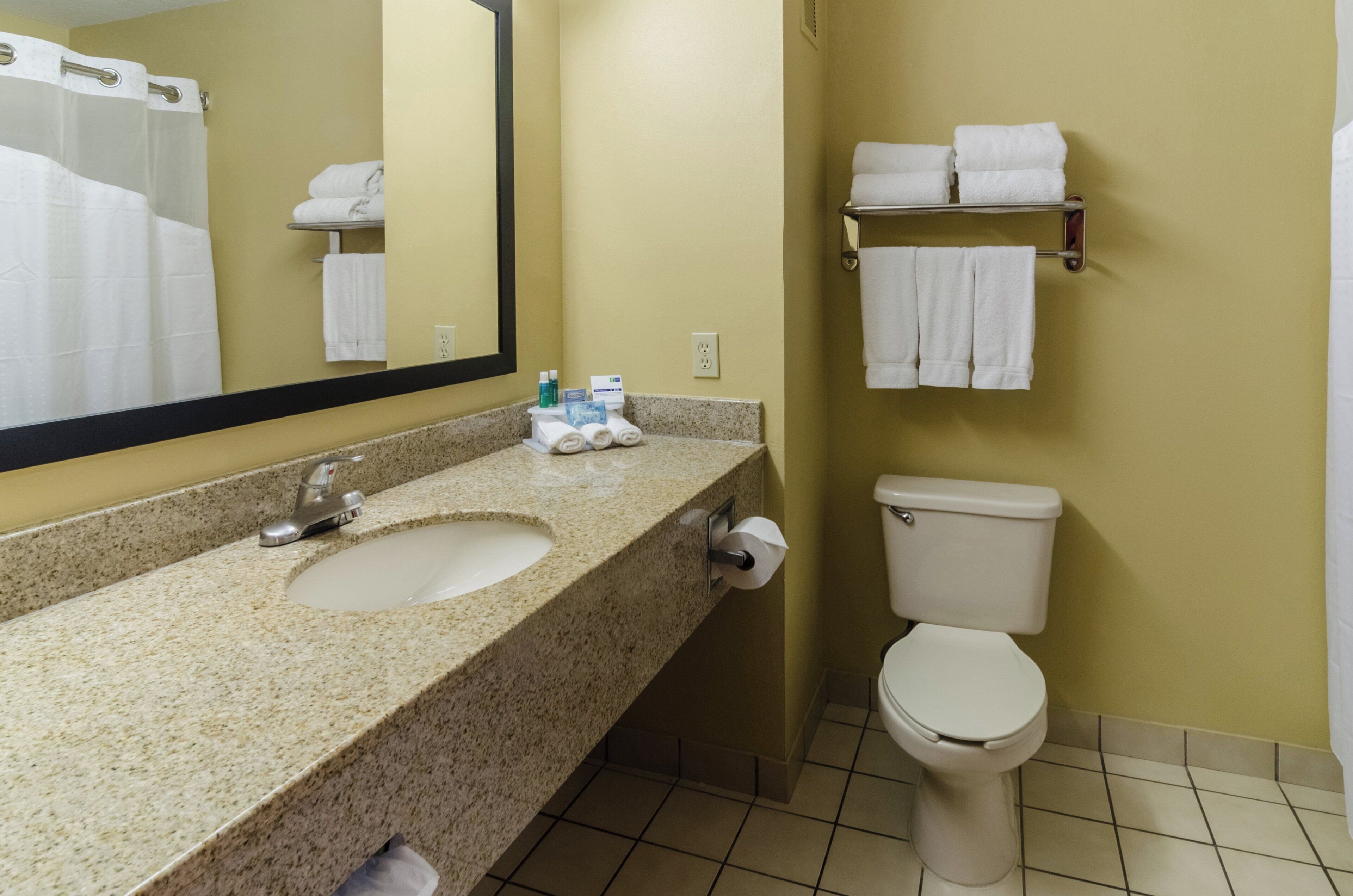 A bathroom with a sink, mirror, toilet, and towel rack.