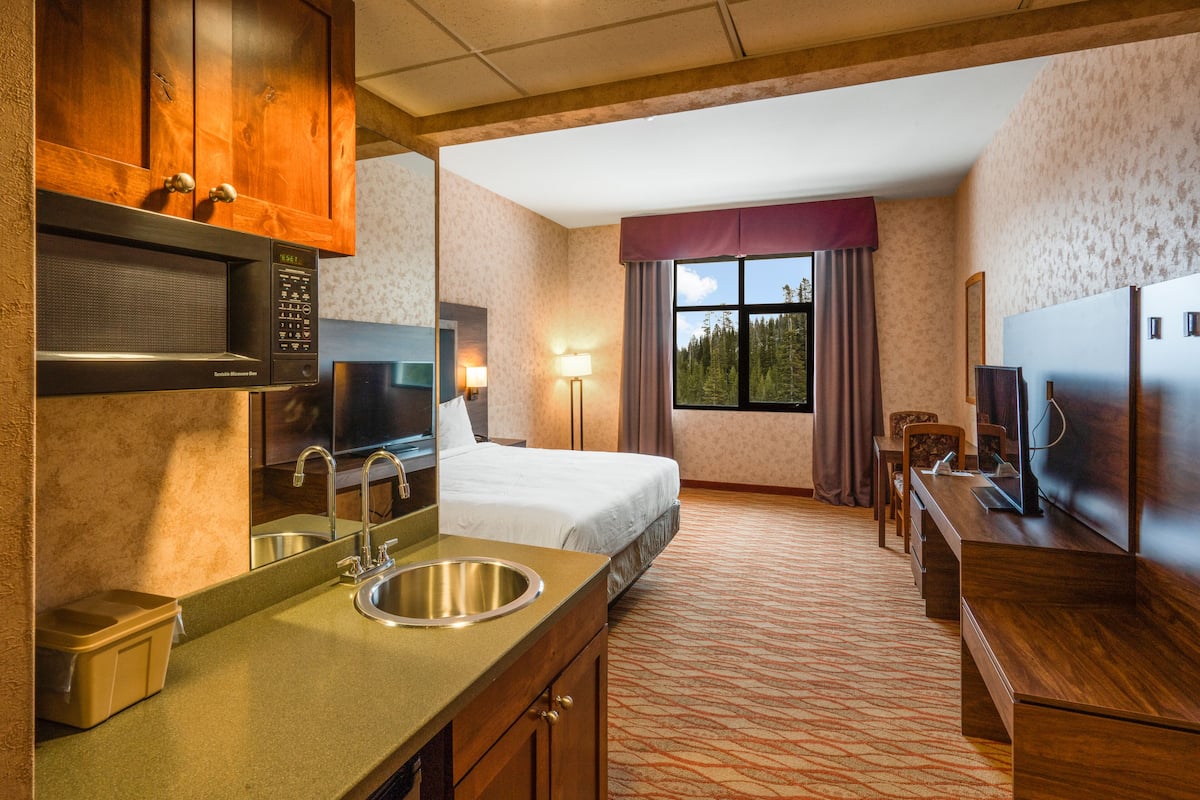 A hotel room with a kitchenette, a bed, a desk with a TV, and a window with a view of trees.