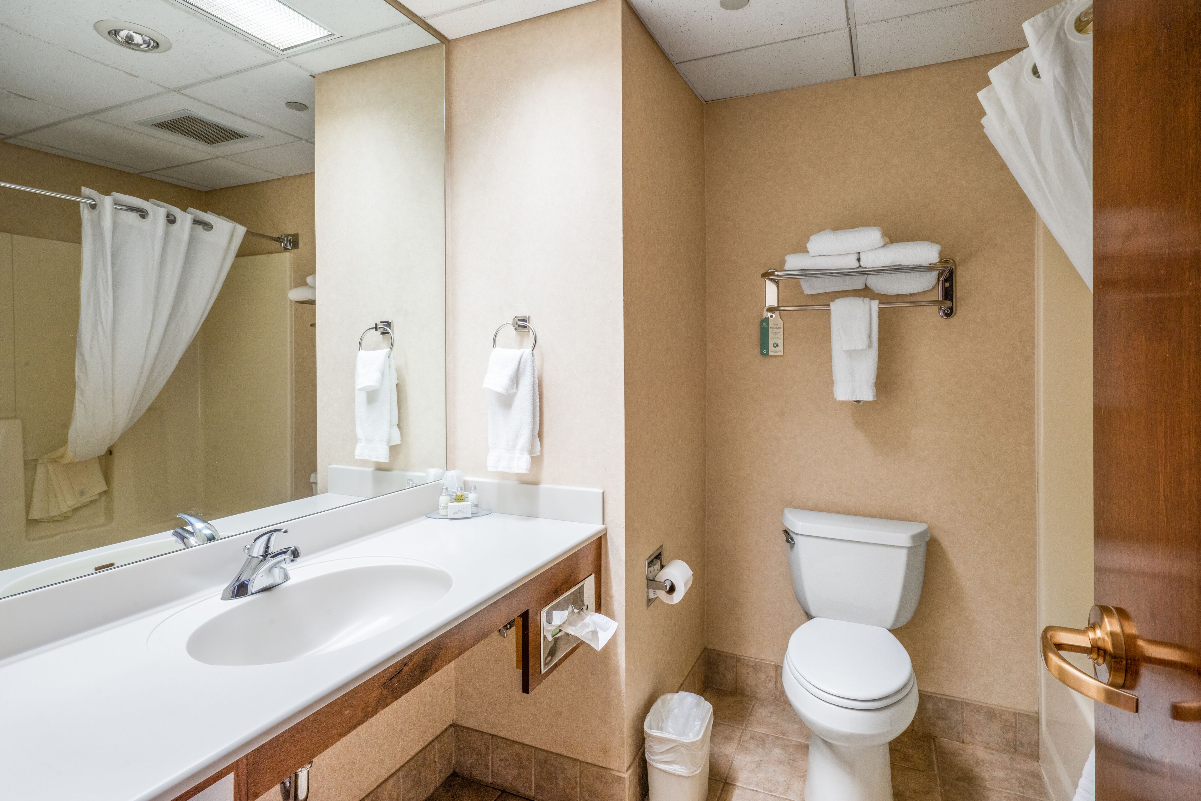 single king valley view | bathroom | bathtub, free toiletries, hair dryer, towels