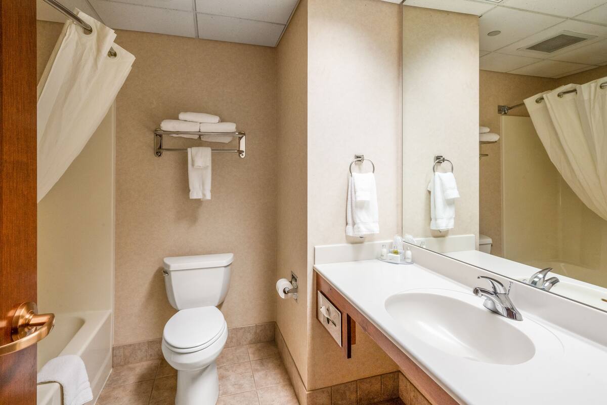 bathtub, free toiletries, hair dryer, towels