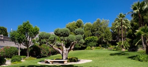 Jardín