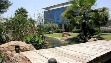 A modern building with a glass facade, surrounded by a landscaped garden with a wooden deck, palm trees, and a small pond.