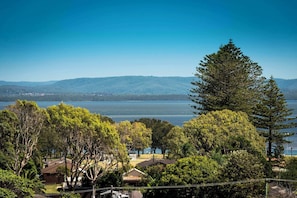 A residential area with houses, trees, and a lake.